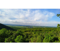 testmoe